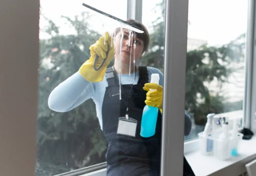 Nettoyage de vitres intérieures et extérieures à Bonne